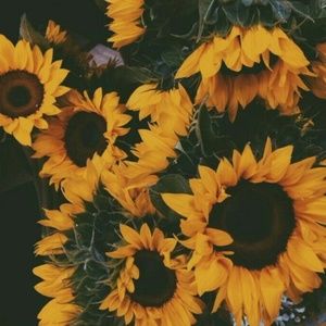 Meet your Posher, Kaelyn